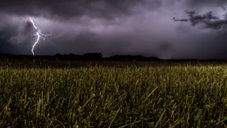 О погоде в Рязани - новая рабочая неделя выдастся дождливой