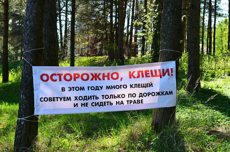 Специалисты Роспотребназдора в Нижнекамске расскажут, как не заболеть от укусов клещей