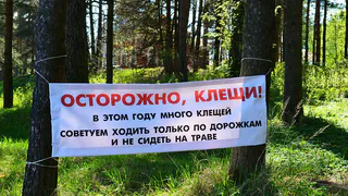 Специалисты Роспотребназдора в Нижнекамске расскажут, как не заболеть от укусов клещей