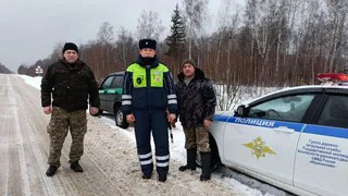 В Чувашии подвели итоги акции «Не губите елочку»