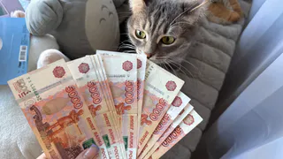 Всего одна простая фраза, а денег - полные карманы: что нужно говорить на пороге перед выходом из дома для богатства