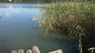 Поездка выходного дня - Святое озеро в Спасском районе