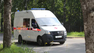 В Коми водитель-беглец оставил погибшего пешехода на обочине