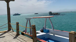 «Учитесь на моих ошибках и не делайте так»: россиянка оставила честный отзыв об отдыхе в Абхазии