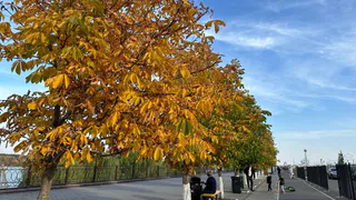 Что нужно обязательно сделать в Кондратьев день, чтобы стать богатым в 2025 году?