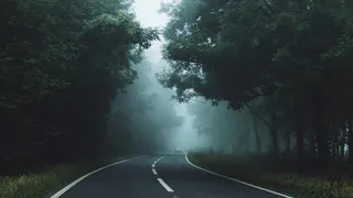 Туман и плохая видимость на дорогах: МЧС выпустило метеопредупреждение