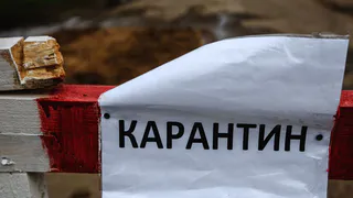 В пензенской области в двух селах на 3 месяца обвялен карантин по бешенству