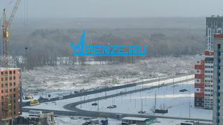 Рубить нельзя помиловать: лес на ГПЗ заменят на «бетонную коробку»