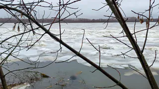 СК области ведет проверку по факту гибели мужчины в Оке