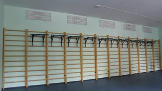 Онлайн тренировки: как к этому относятся спортивные школы Рязани