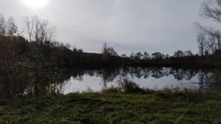 В Рязанской области учредили управление охраны окружающей среды  