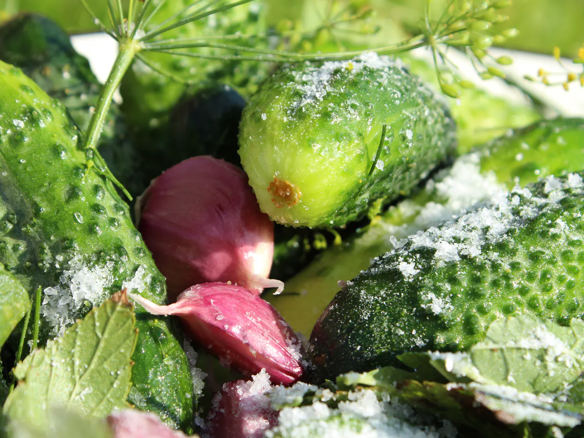 Поливаем огурцы содой: какой эффект дает пищевая сода, как и когда лучше всего вносить эту подкормку