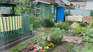 Сорняки мигом исчезнут: развожу 1 стакан на ведро и поливаю вечером - утром огород будет не узнать