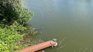 Следователи Пензенской области расследуют обстоятельства смерти мужчины в водоеме