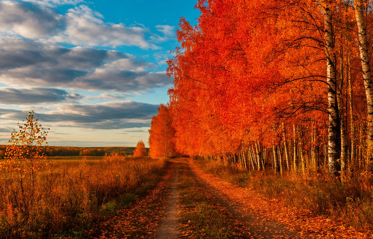 Куда поехать осенью в Татарстане: лучшие места для путешествия в золотой сезон