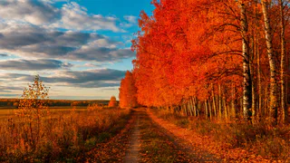 Куда поехать осенью в Татарстане: лучшие места для путешествия в золотой сезон