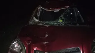 На дороге Рязань-Спасск с автомобилем столкнулся лось