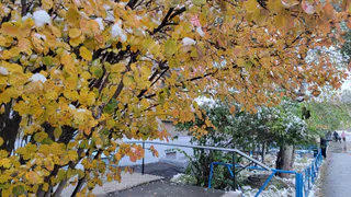 Прогноз погоды на 15 октября: Челябинскую область ожидают дожди, гололедица и порывистый ветер