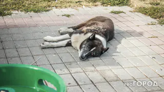 Роспотребнадзор рассказал, как избежать перегрева в жаркие дни