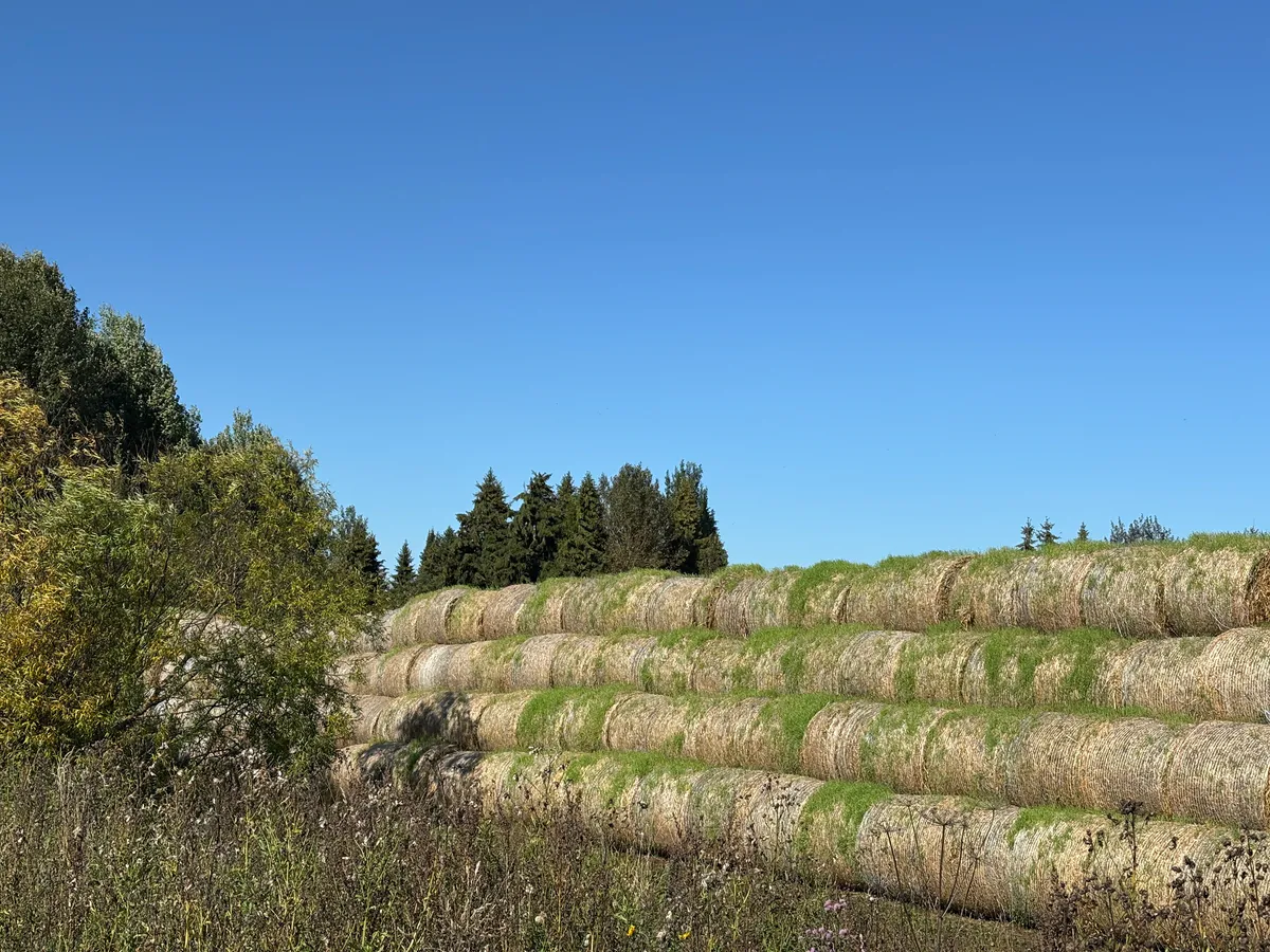 Татарстан наращивает сельхозпроизводство: объём продукции в 2025 году превысил 400 млрд рублей