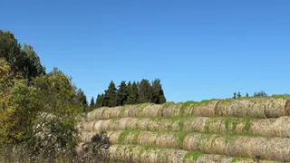 Татарстан наращивает сельхозпроизводство: объём продукции в 2025 году превысил 400 млрд рублей