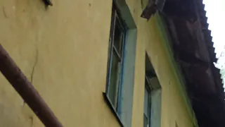 В Рязани заметили торчащее из крыши аварийного дома полено