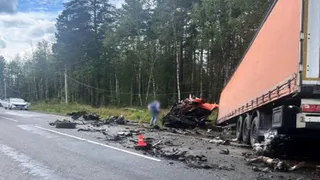 В ДТП в Гусь-Хрустальном районе погиб депутат Заксобрания региона Михаил Максюков