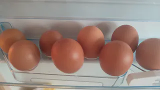 В Коми увеличилось производство молока и мяса за полгода