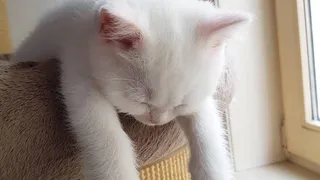 Приметы и запреты на 15 июля: удачи сегодня принесет усердная работа