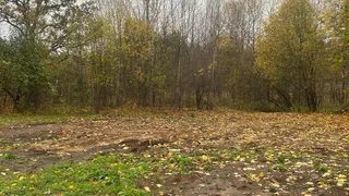 Вместо ФАПа - голая земля: в Кольчугинском районе подрядчика ждет крупный штраф