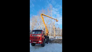 В Нижнекамске идёт масштабная обрезка деревьев: работы продлятся до весны