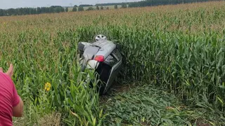 В Пронском районе машина с четырьмя детьми опрокинулась в кукурузное поле