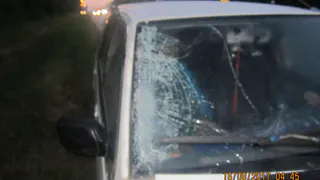 Под Рязанью Мицубиси сбил пешехода насмерть