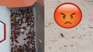 "Кто слил?" - администрация школы №60 начала искать виноватых