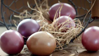 Бабушки красят яйца только так: налейте в кастрюлю эту ядрёную жидкость