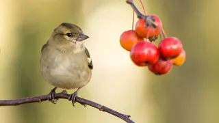 О погоде в Рязани: чем запомнится последняя неделя лета