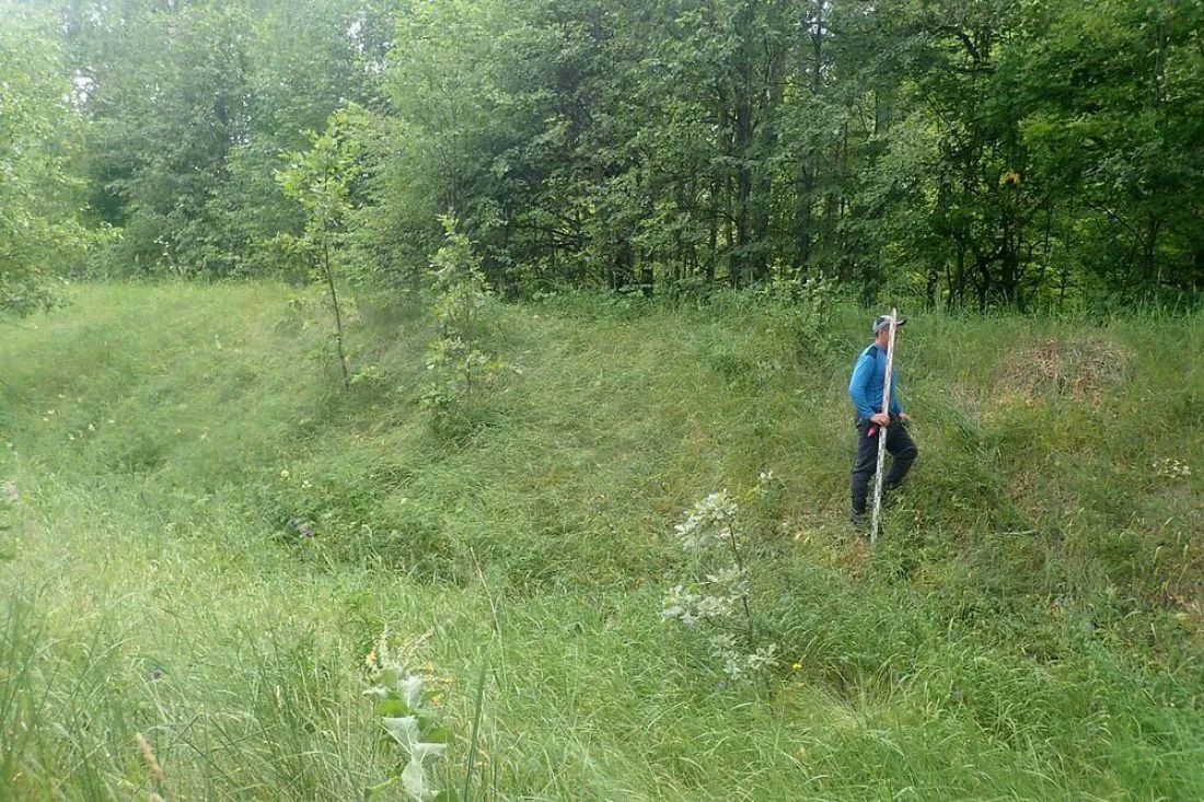 Раскопки под Пензой привели к археологическому открытию