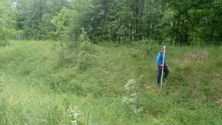 Раскопки под Пензой привели к археологическому открытию