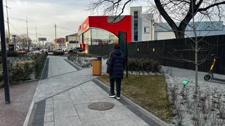 Восстанут из пепла: Василиса Володина назвала знак зодиака, которому этой весной предстоит новый путь, полный счастья