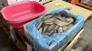 Шопинг в «Светофоре» удался: я принесла домой два пакета и сохранила часть бюджета. Честно о покупках и ценах