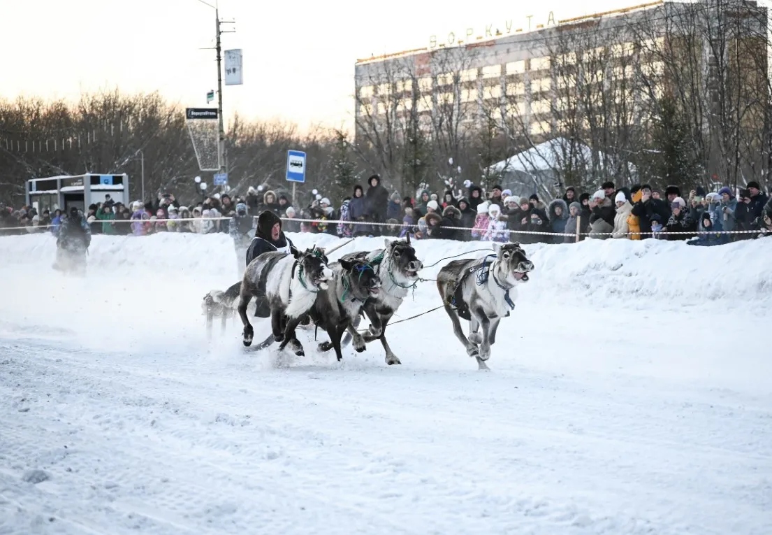 В Коми оленьи упряжки промчались по главной улице Воркуты