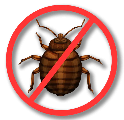 Уничтожение клопов в Москве