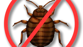 Уничтожение клопов в Москве