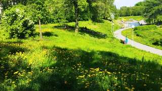 В Рязани 24 июля ожидается жара до 30 градусов