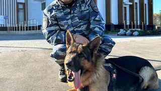 В Чувашии полицейская собака выследила пропавшую 84-летнюю женщину