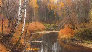 «В сентябре начнется кошмар». Синоптики озвучили новый прогноз на начало осени