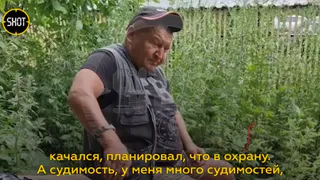 Пермский каннибал, хранивший два холодильника человеческого и собачьего мяса, работает в приюте для животных