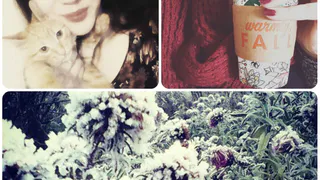 Рязанское утро в Инстаграм: фото с любимцем, горячий кофе и нарядные кусты 