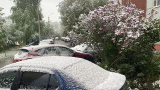 Аномальная жара ожидается в первых числах марта: лето придет на два месяца раньше