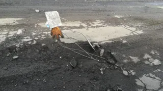 Инсталляция: на трассе в Рязанской области яму закрыли необычной скульптурой